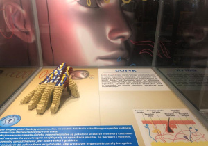 ekspozycja na wystawie klocków Lego_27