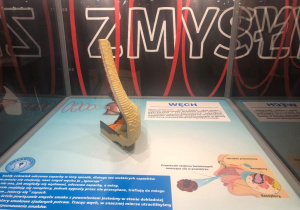 ekspozycja na wystawie klocków Lego_28