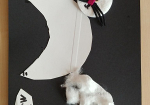 kotek