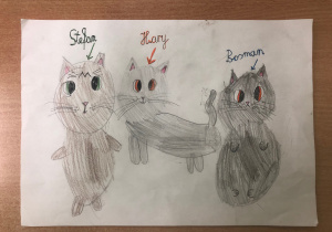 praca konkursowa_38