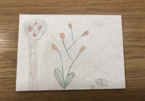 praca inspirowana twórczością Durera_8