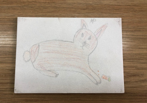 praca inspirowana twórczością Durera_11