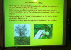warsztaty przyrodnicze o jabłku_8