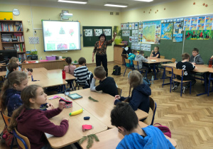 warsztaty przyrodnicze o roślinach Bożego Narodzenia_10