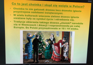 warsztaty przyrodnicze o roślinach Bożego Narodzenia_11