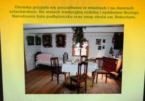 warsztaty przyrodnicze o roślinach Bożego Narodzenia_12