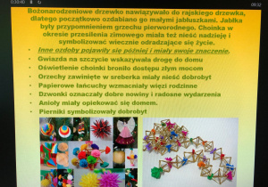 warsztaty przyrodnicze o roślinach Bożego Narodzenia_14