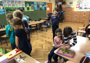 warsztaty przyrodnicze o roślinach Bożego Narodzenia_19