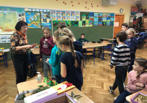 warsztaty przyrodnicze o roślinach Bożego Narodzenia_20