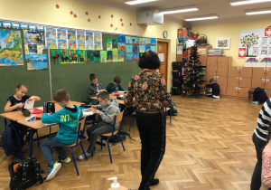 warsztaty przyrodnicze o roślinach Bożego Narodzenia_30