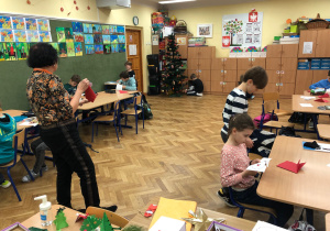 warsztaty przyrodnicze o roślinach Bożego Narodzenia_31