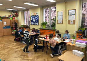 warsztaty przyrodnicze o roślinach Bożego Narodzenia_38