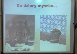 dzieci podczas zajęć o gryzoniach_1