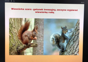 dzieci podczas zajęć o gryzoniach_9