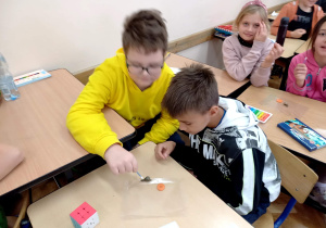 dzieci z klasy 3b podczas zajęć o ślimakach_1