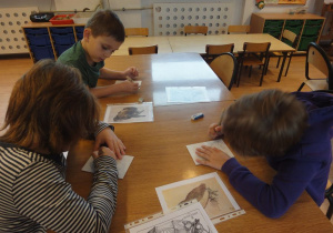 MDK Muranów Dürer_24