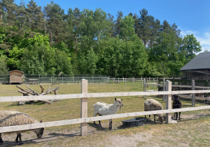 dzieci z 1a i 1b na wycieczce w Leśniczówce Paryż_76