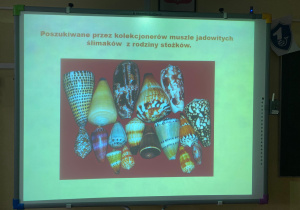 warsztaty przyrodnicze o ślimakach_8