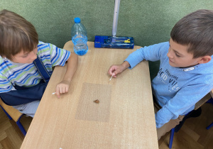 warsztaty przyrodnicze o ślimakach_17