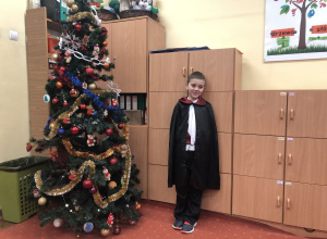 3b - pokaz strojów karnawałowych