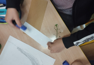 realizacja projektu Zielnik_4