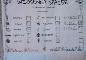 realizacja projektu Zielnik_15