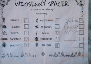 realizacja projektu Zielnik_16