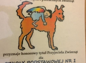 Wspieramy zwierzaki