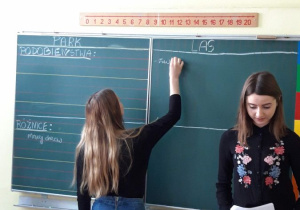 dzieci podczas realizacji projektu Drzewa 5