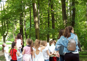 dzieci podczas wycieczki do parku 6