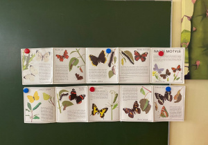 uczniowie podczas warsztatów przyrodniczych o motylach_4