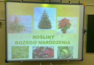 podczas warsztatów przyrodniczych_1