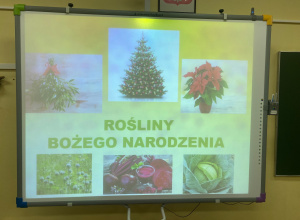 Warsztaty przyrodnicze w klasie 3b