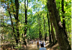 dzieci na wycieczce w lesie_1