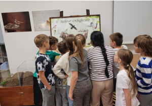 dzieci na wycieczce w lesie_5