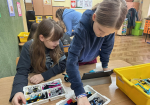 zajęcia robotyczne_14