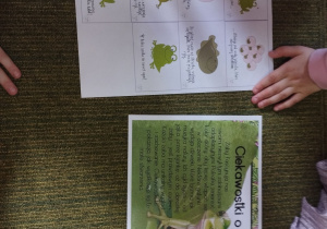 zajęcia z okazji Dnia Żaby_2