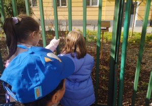 realizacja projektu Zielnik_1