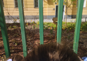 realizacja projektu Zielnik_3