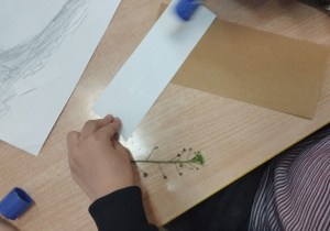 realizacja projektu Zielnik_4