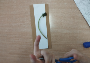 realizacja projektu Zielnik_5