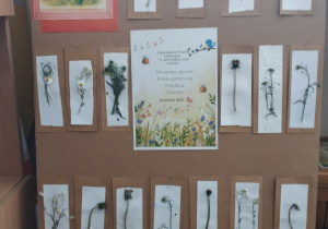 realizacja projektu Zielnik_13