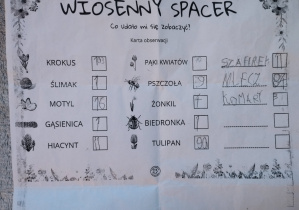 realizacja projektu Zielnik_15