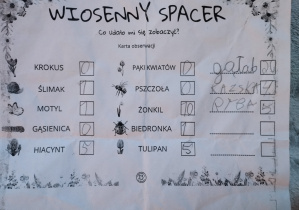 realizacja projektu Zielnik_16