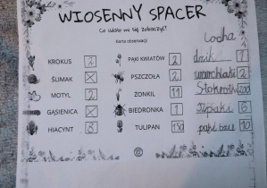 realizacja projektu Zielnik_17