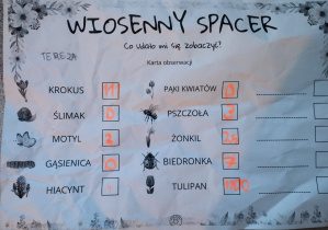 realizacja projektu Zielnik_18