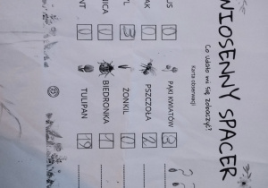 realizacja projektu Zielnik_19