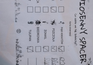 realizacja projektu Zielnik_20